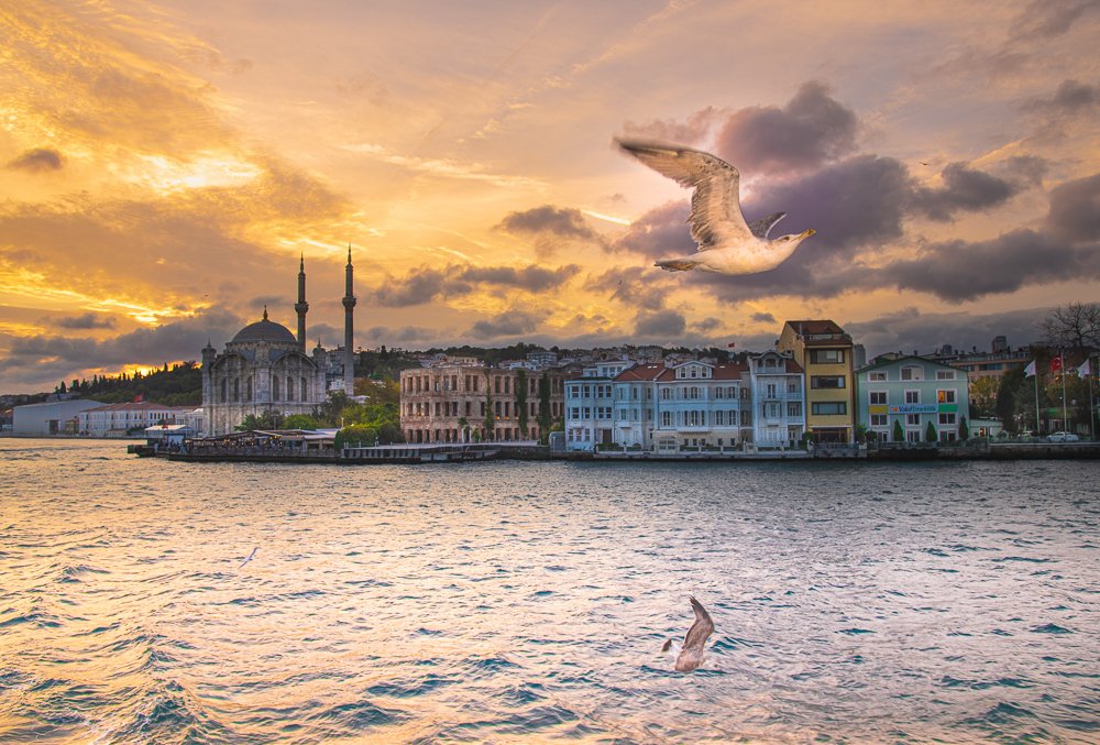 Фотография автора Gabriela Bonilla