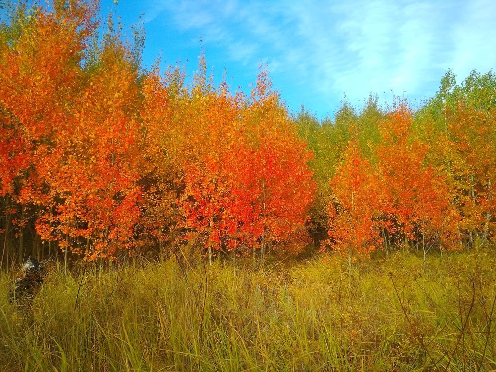 Photograph by Людмила Фризен