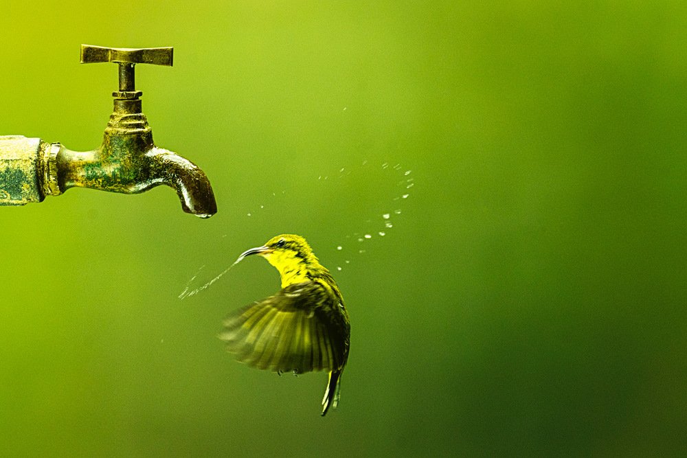 Photograph by Tri Handoko