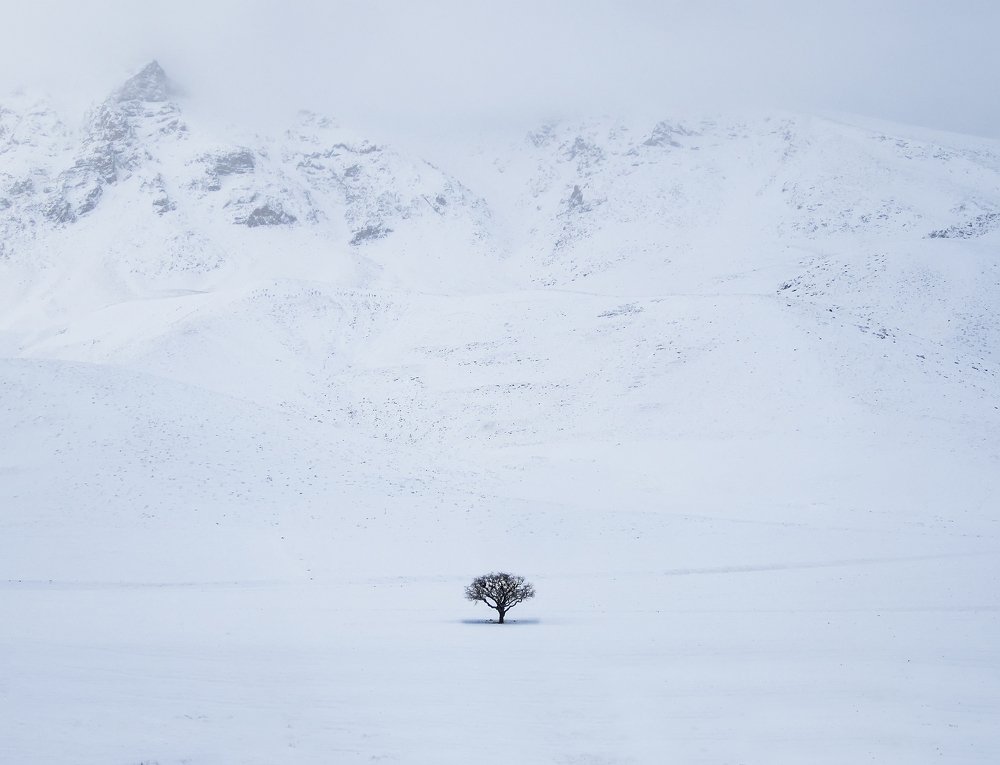 Photograph by Riahi Hosein