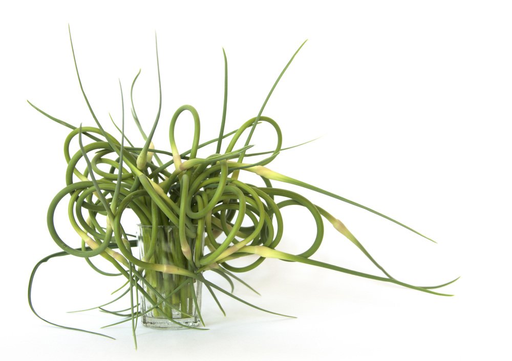 Photograph by Евгения Жос