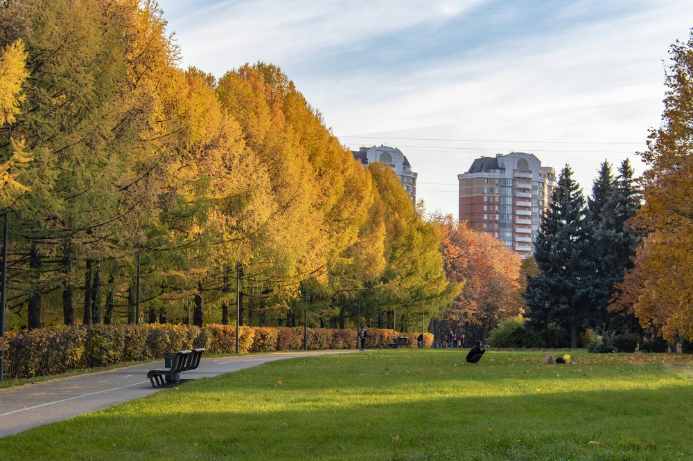 Photograph by Илья Новиков