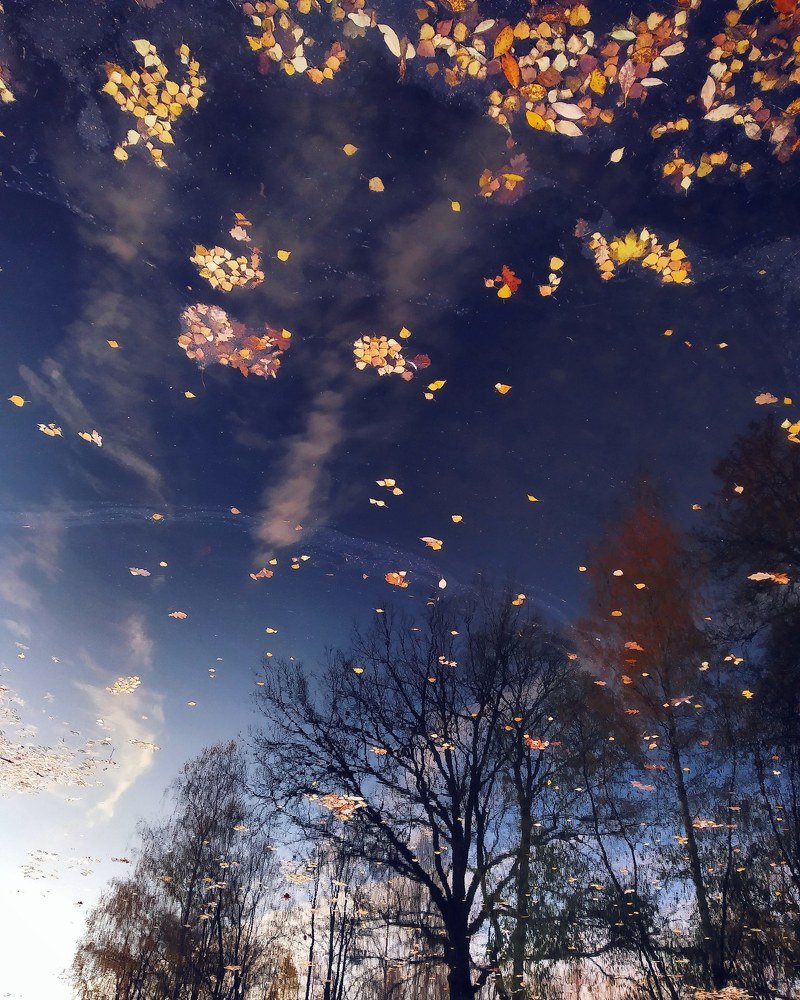 Photograph by Наталья Серёгина