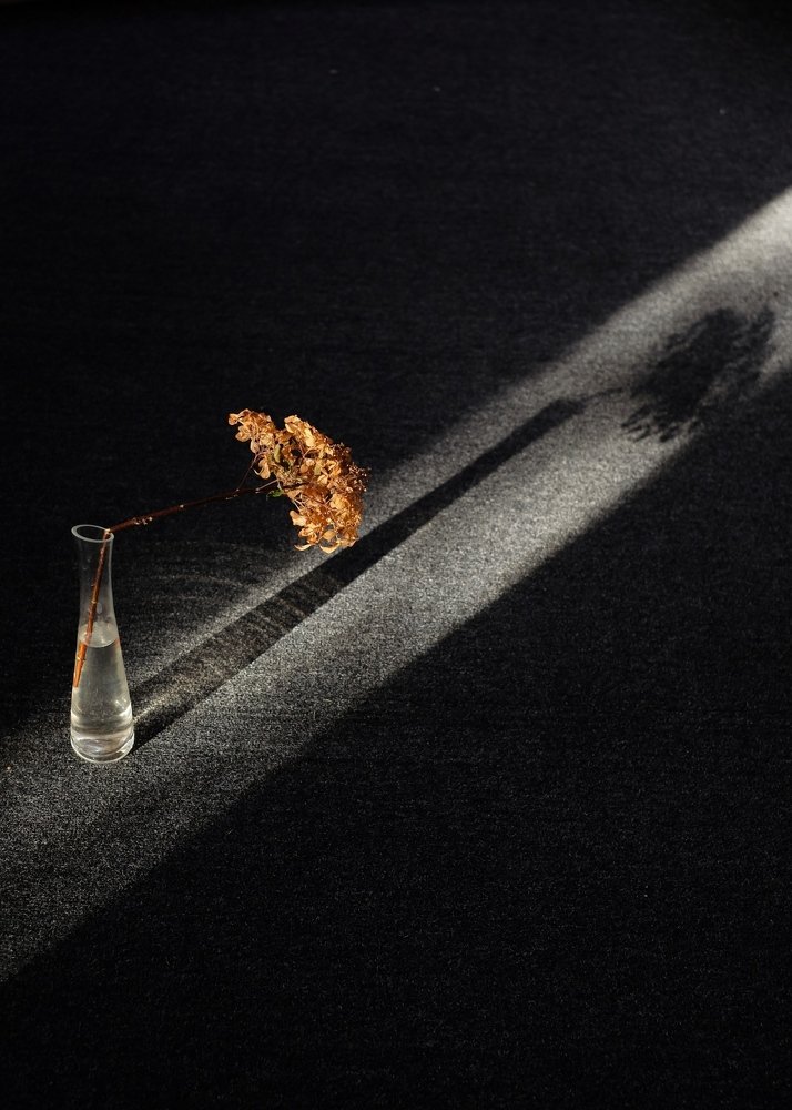 Photograph by Наталья Никитина