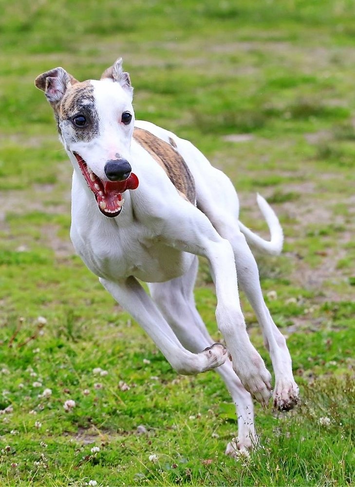 Photograph by Дмитрий Петухов