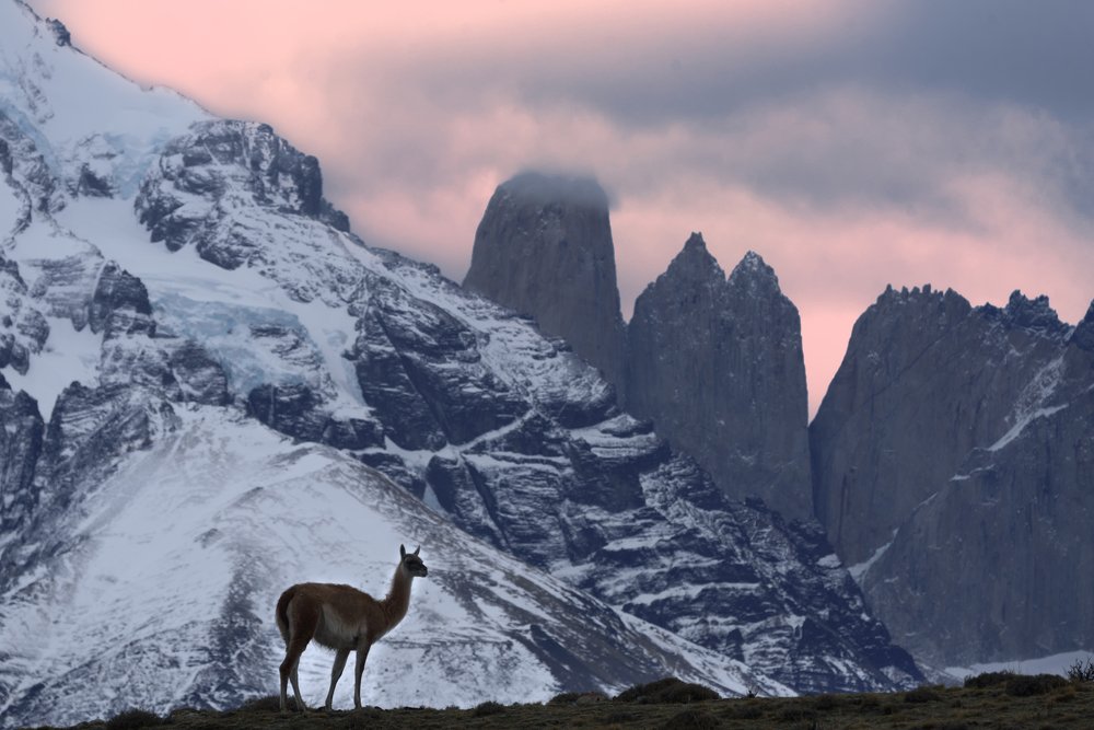 Photograph by Shishir Kumar Jain