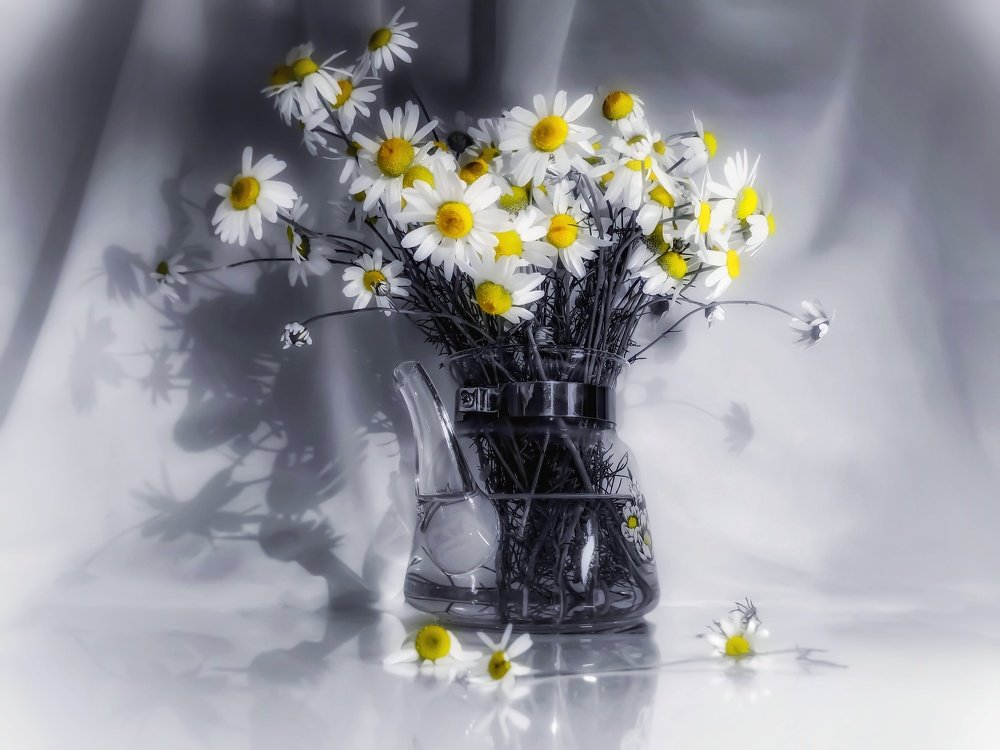 Photograph by Светлана Лехмус