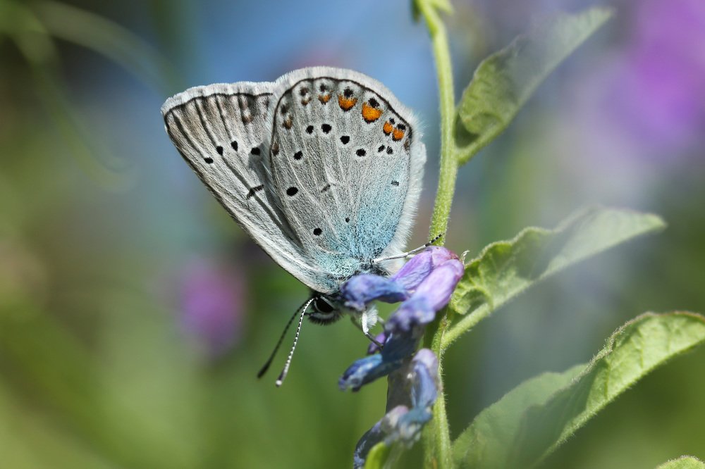 Photograph by Наталья Гайдукевич