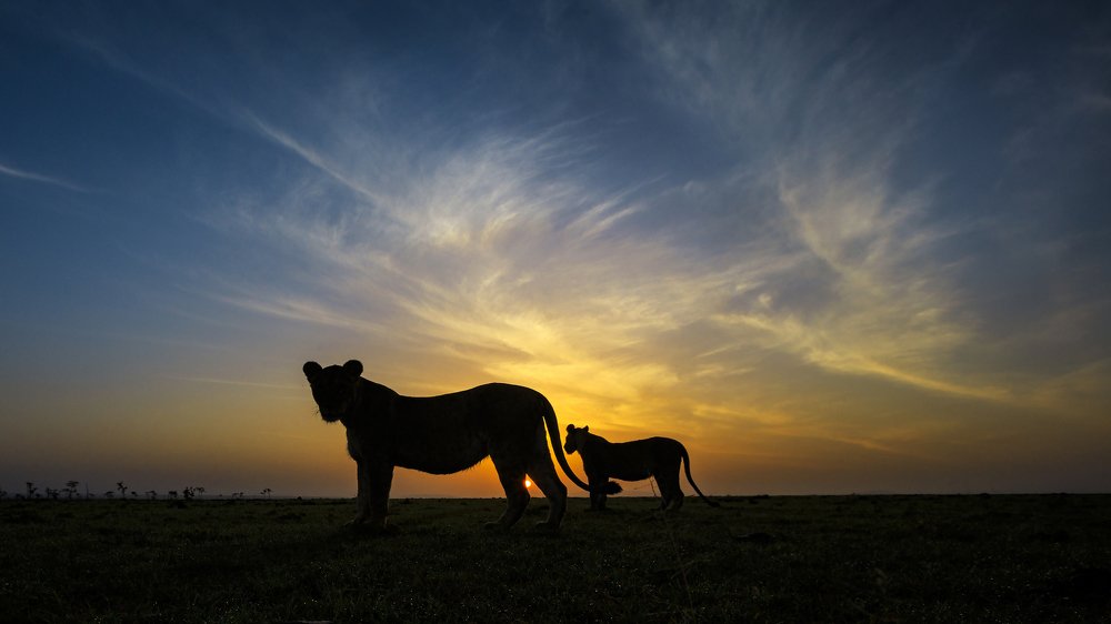 Photograph by Shishir Kumar Jain