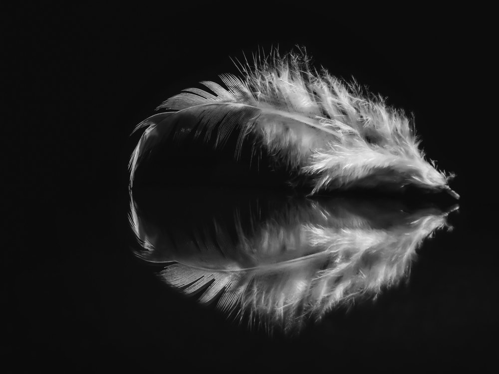 Photograph by Светлана Лехмус