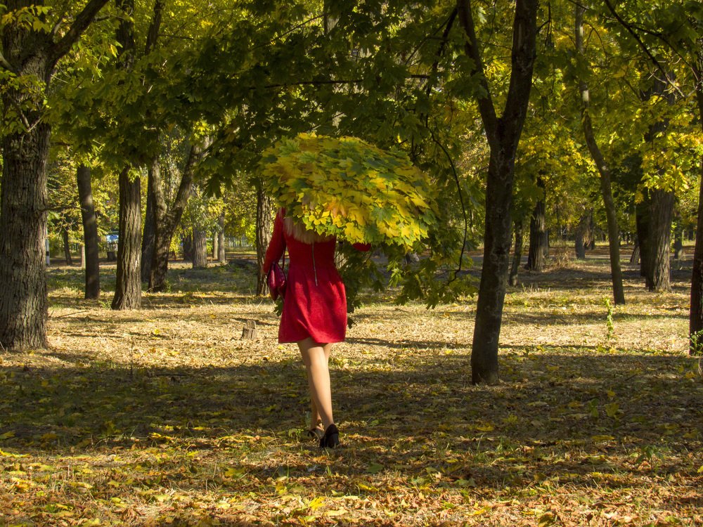 Photograph by Иван Доможирский