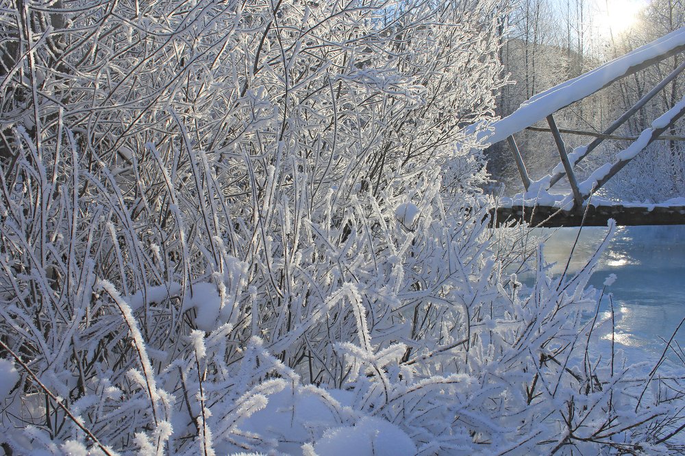 Photograph by Светлана Халилова