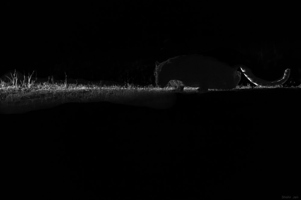 Photograph by Shishir Kumar Jain