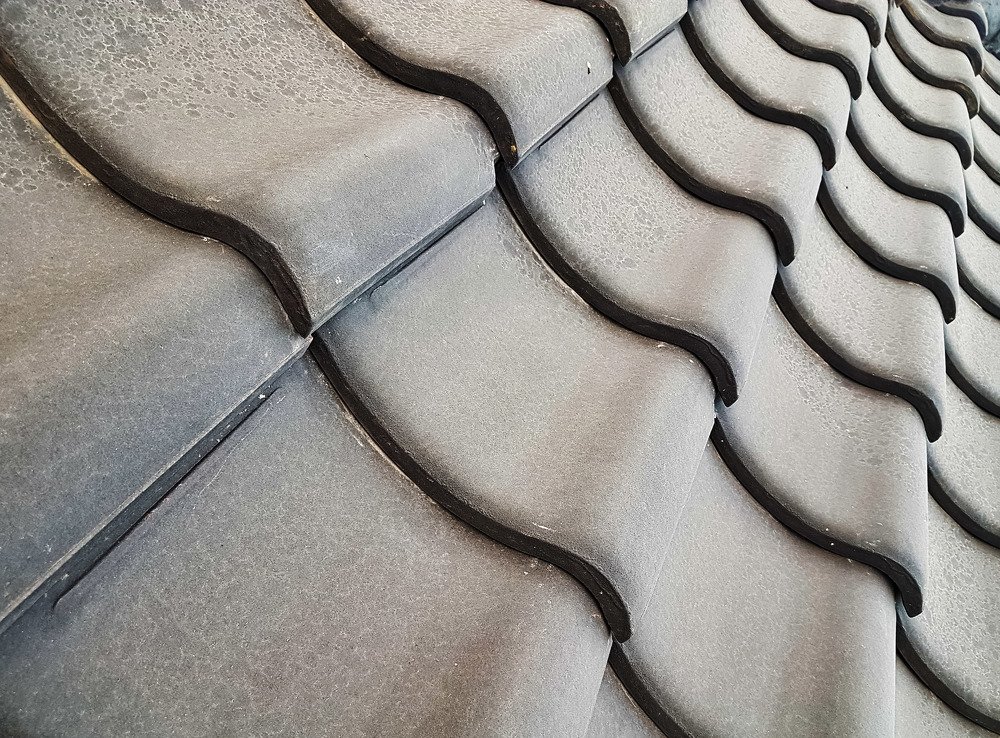 Photograph by Iin Fortunata Angelina