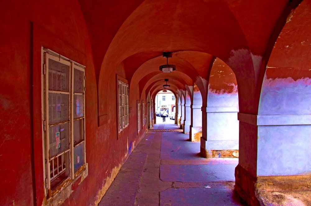 Photograph by Дмитрий Розенбаум