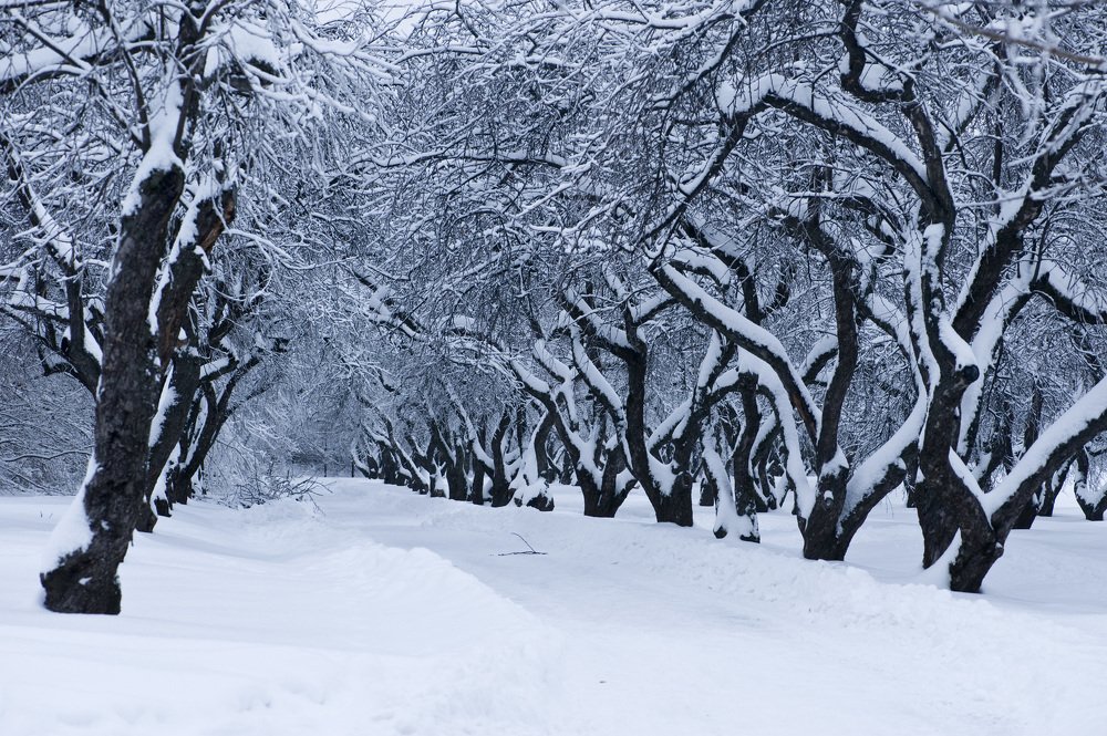 Photograph by Дмитрий Розенбаум