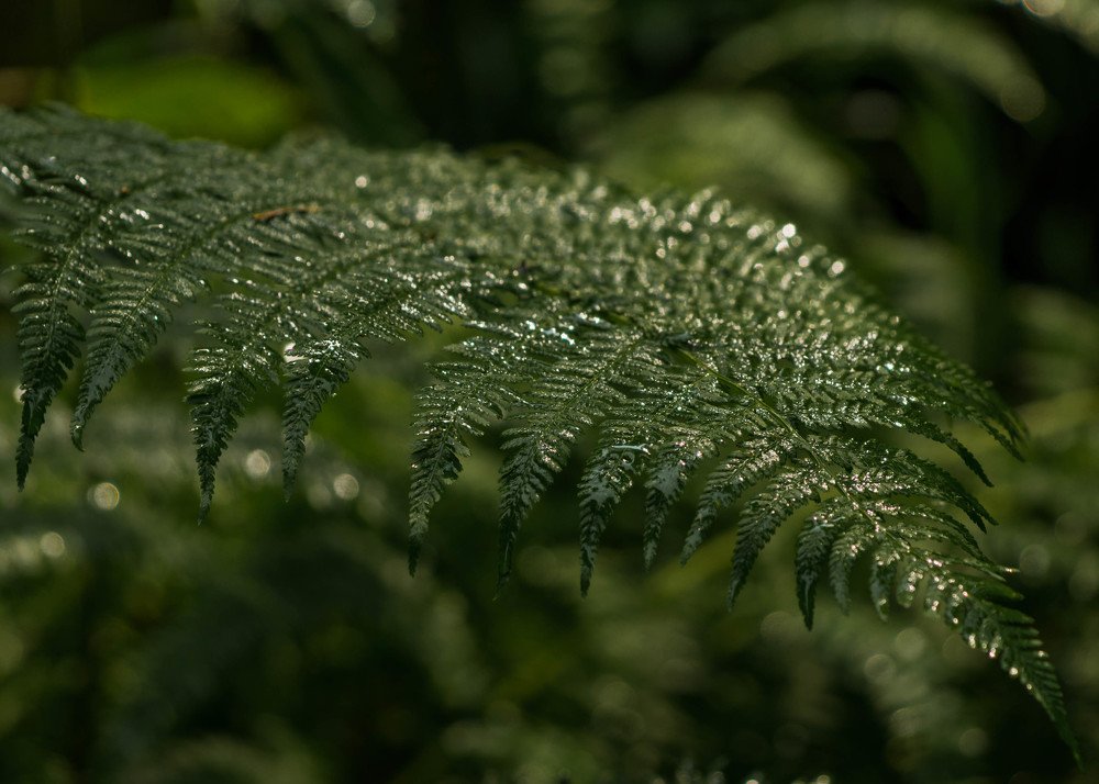 Photograph by Aleksandr Slyusarev