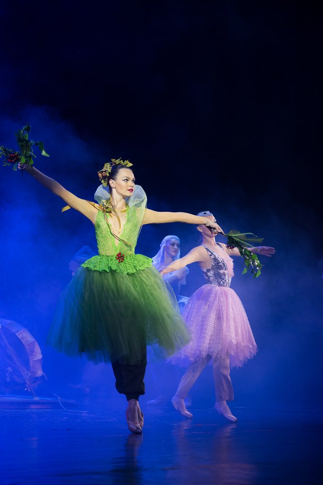 Ансамбль танца