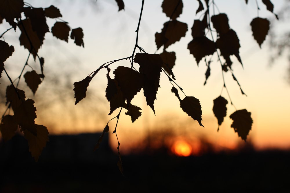 Photograph by Елизавета