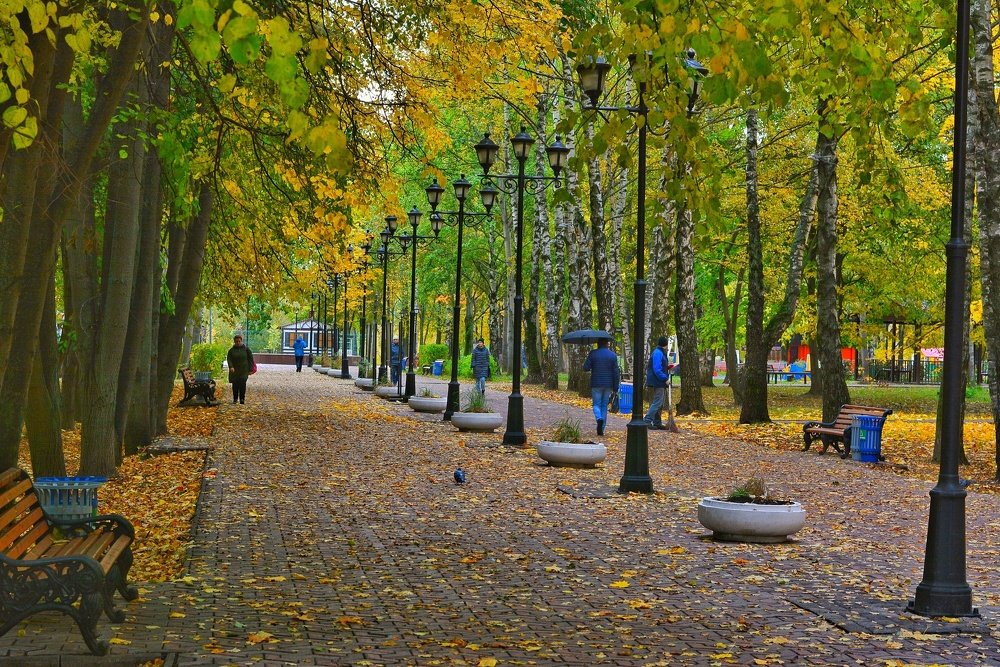 Photograph by Александр Мокеев