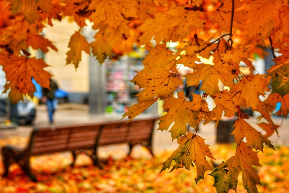 Photograph by Александр Мокеев