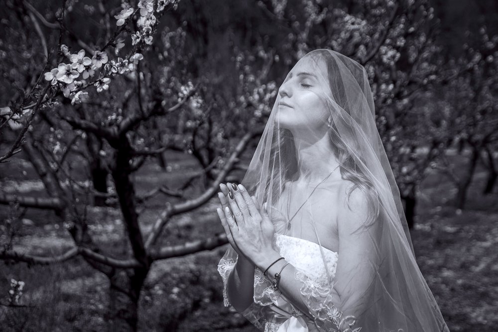 Photograph by Роман Приходько