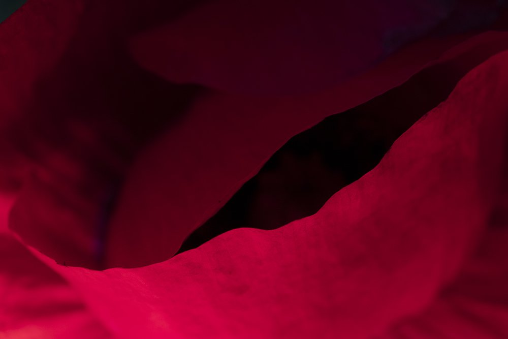 Photograph by Amir Garoosian