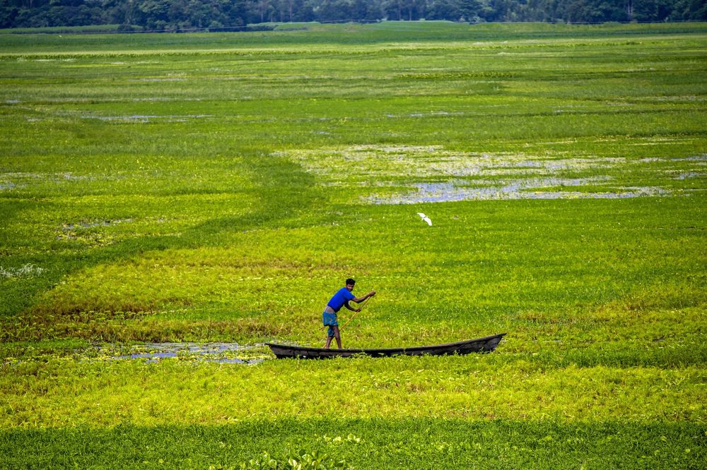 Photograph by  Rayhan Ahmed