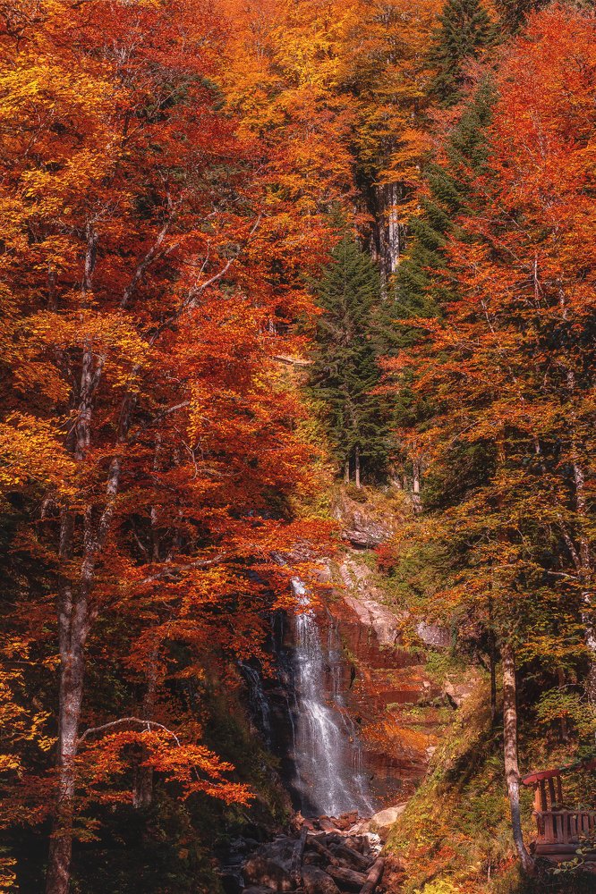 Фотография автора Анастасия Мазурева
