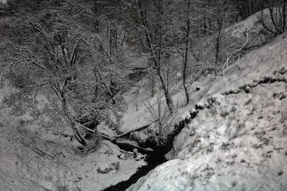Фотография автора Анастасия Пищулова