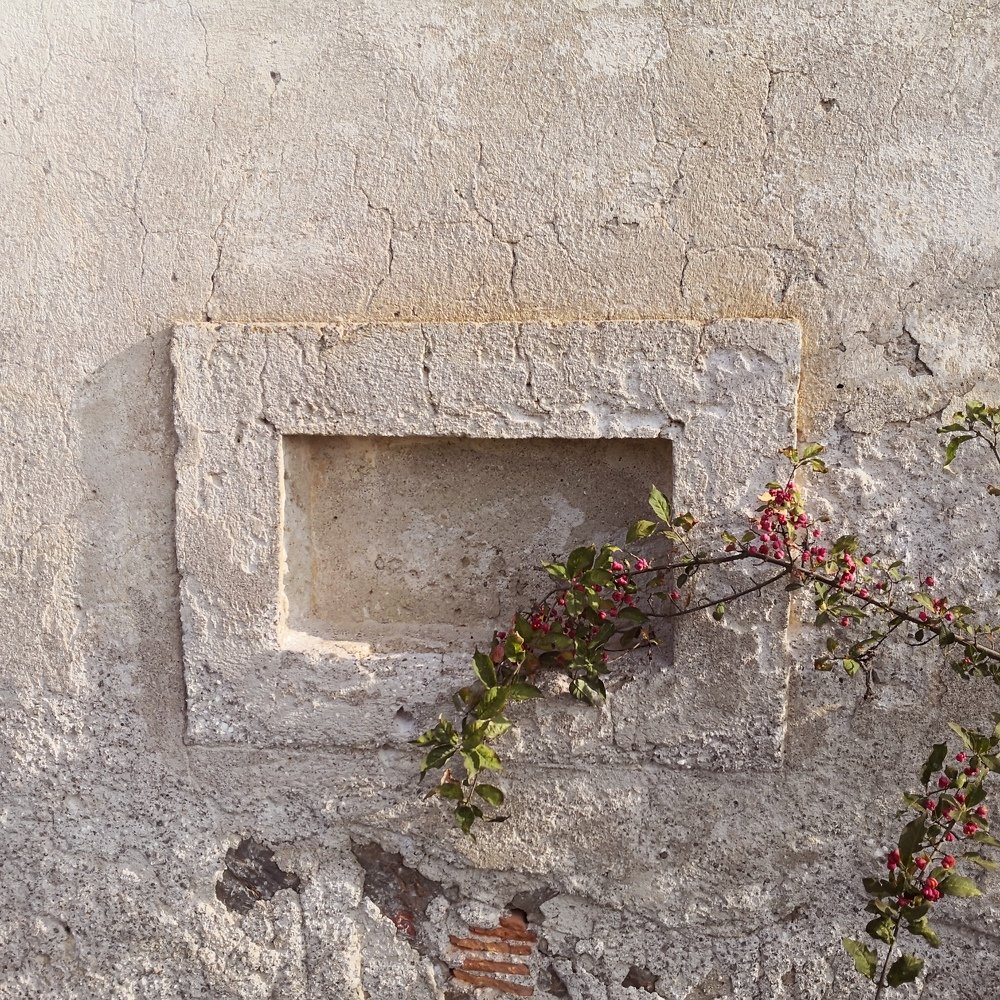 Photograph by Mateja Jaušovec