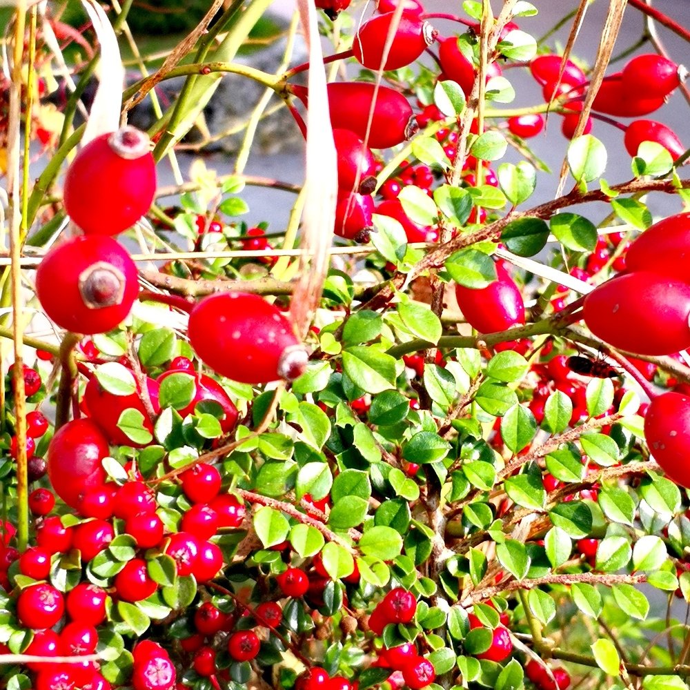 Photograph by Mateja Jaušovec