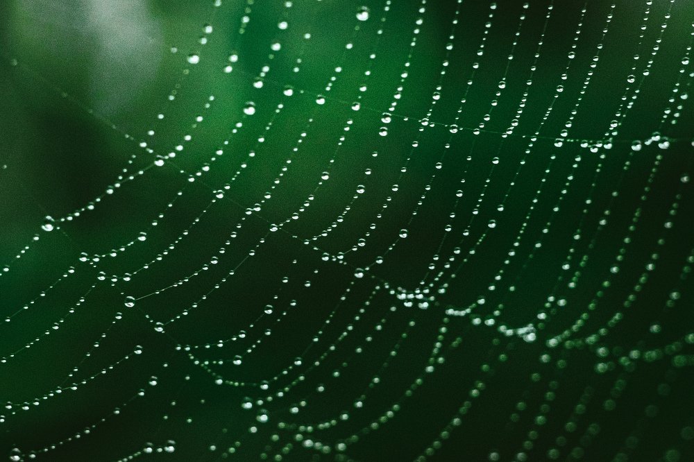 Photograph by Тимофей