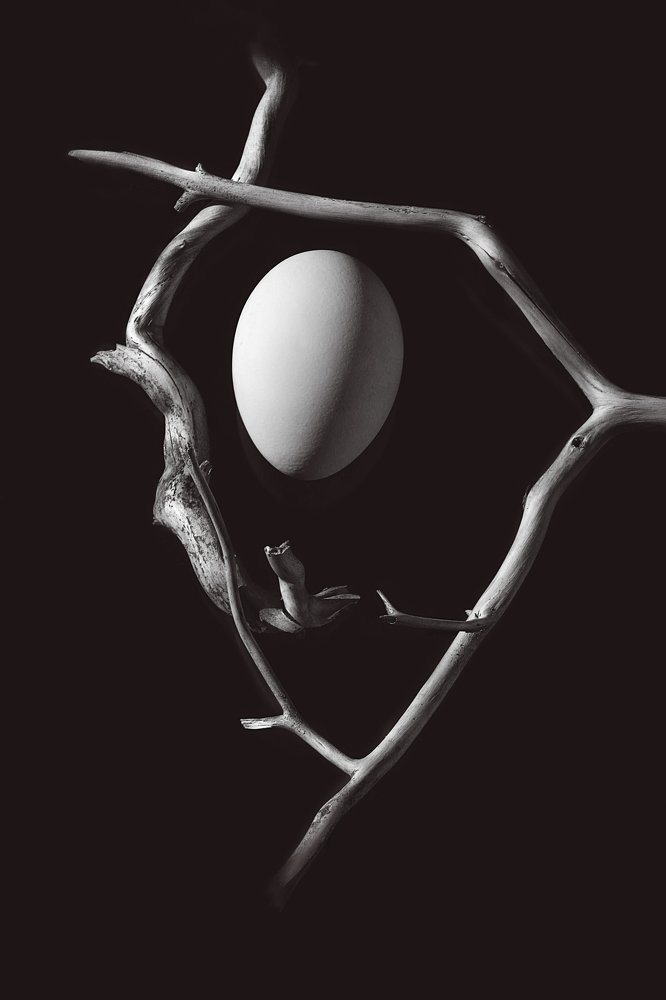 Photograph by Елена Неведицына