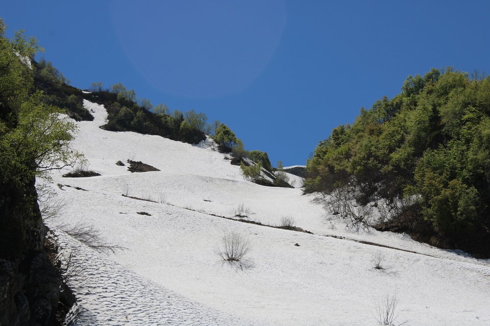 Photograph by Николай Немчанинов