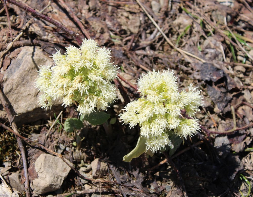 Photograph by Николай Немчанинов