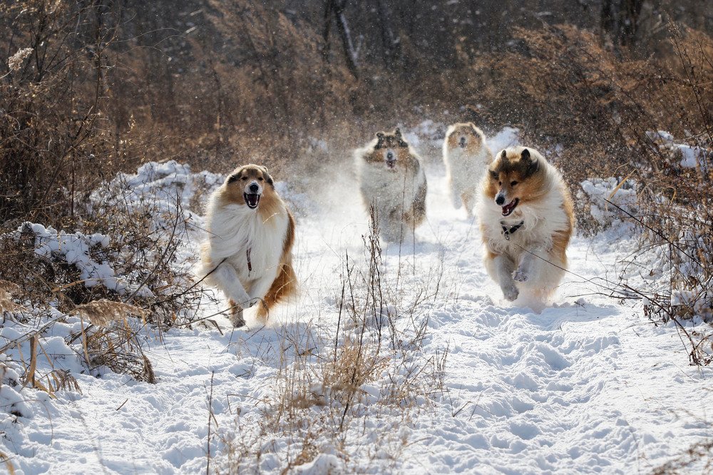 Photograph by СВЕТЛАНА ГРАЧЕВА