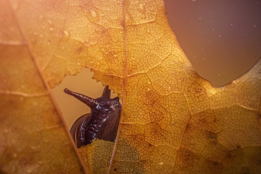 Photograph by Тимофей