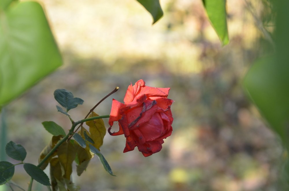 Фотография автора Владимир Брызгунов