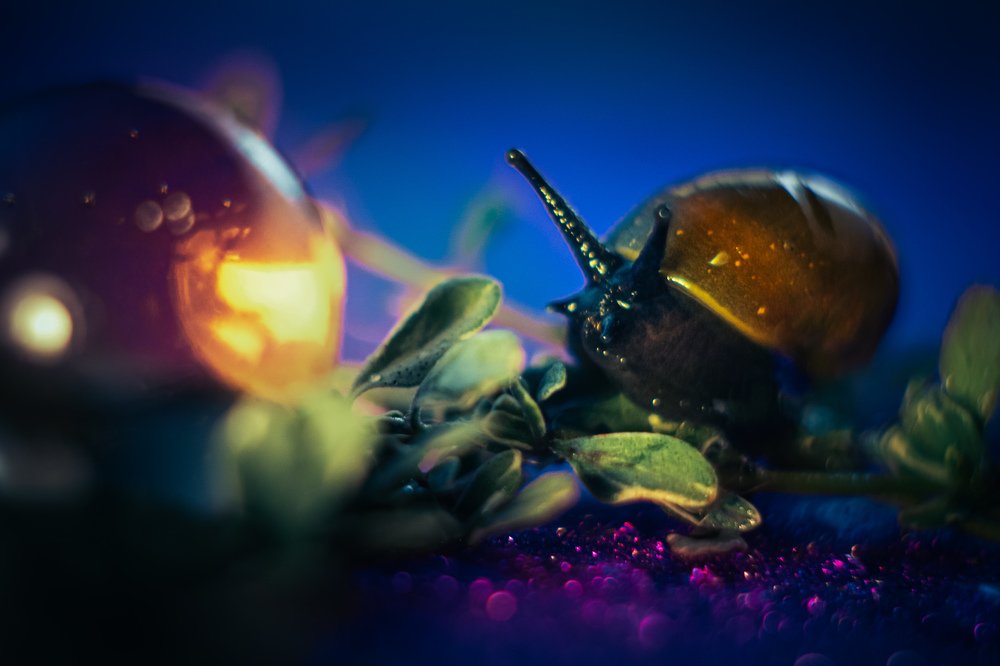 Photograph by Тимофей