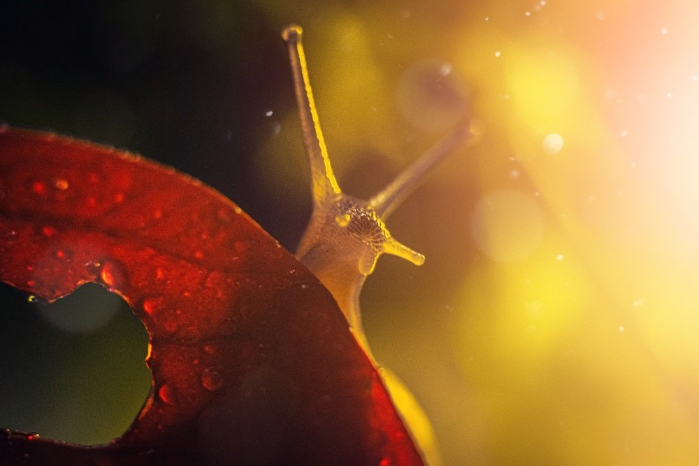 Photograph by Тимофей