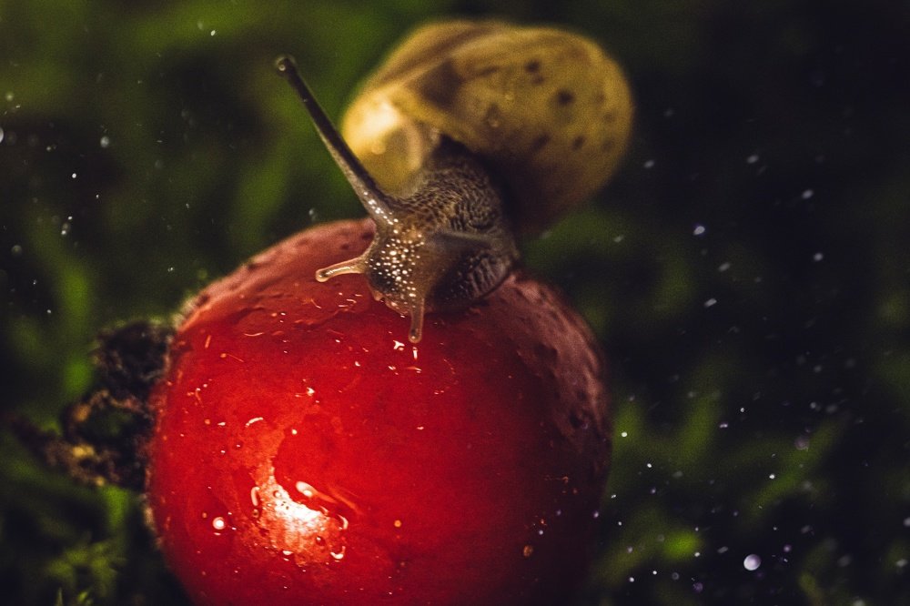 Photograph by Тимофей