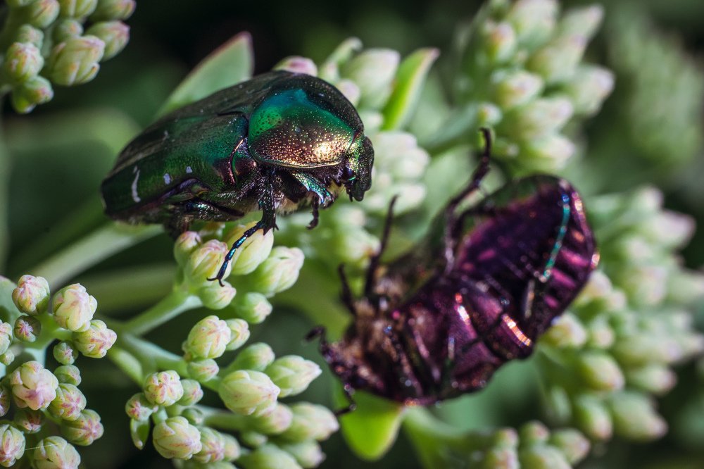 Photograph by Тимофей