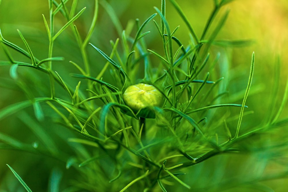 Photograph by Victor Pruhnitskiiy