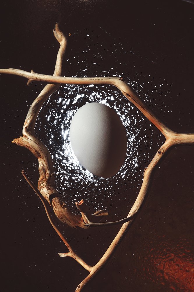 Photograph by Елена Неведицына