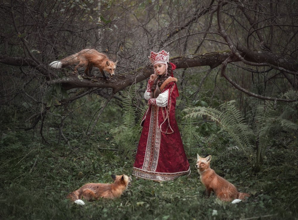 Фотография автора Софья Ознобихина