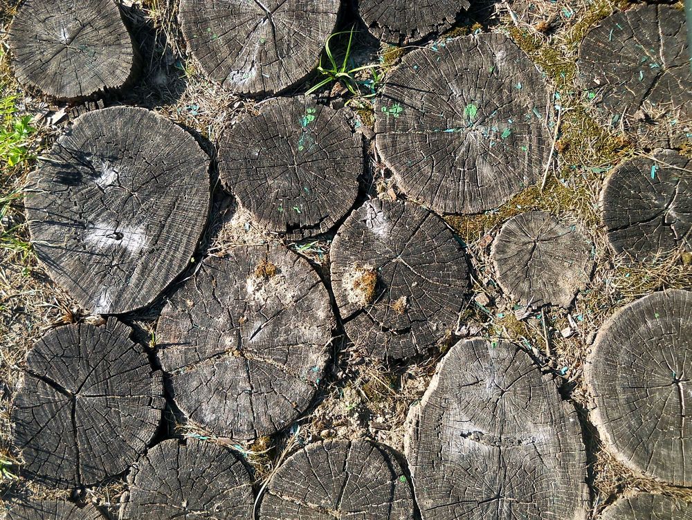 Photograph by Irina Dali