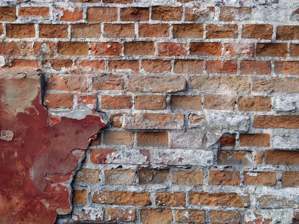 Photograph by Irina Dali