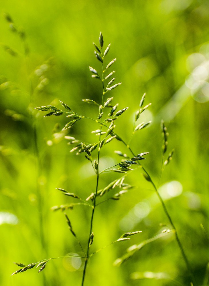 Photograph by Анна Дорофеева