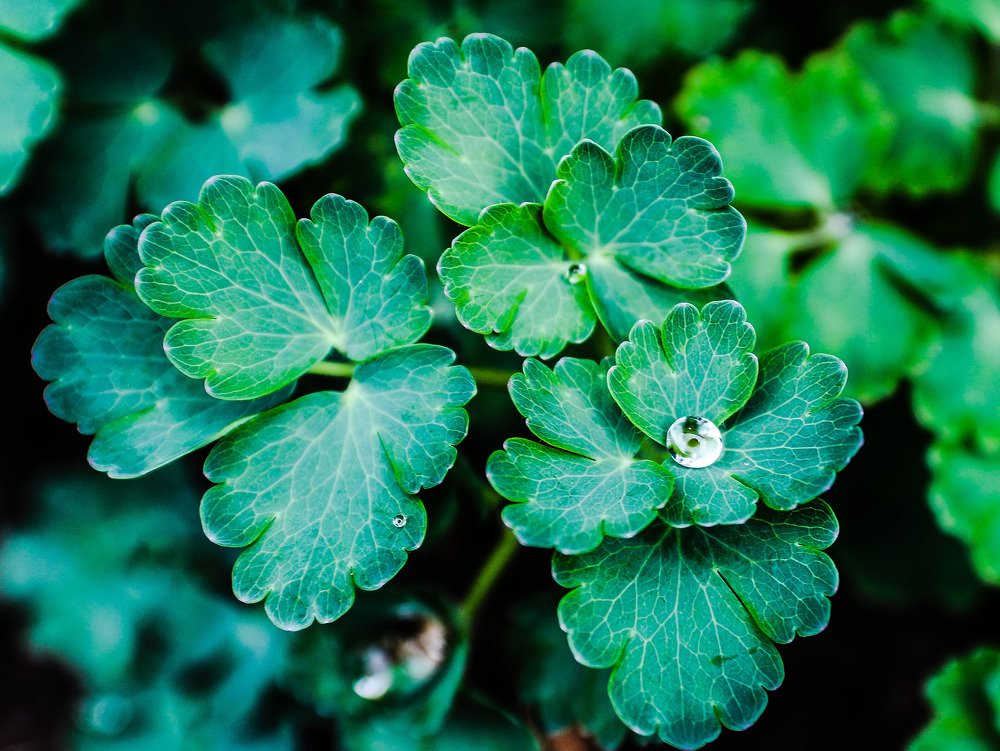 Photograph by Анна Дорофеева